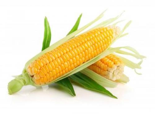 Можно ли есть кукурузу при похудении. Общие правила диеты №5 02 Можно ли есть кукурузу при похудении. Общие правила диеты №5 02