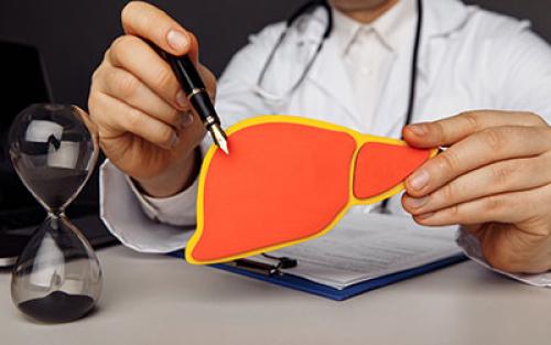 Через сколько восстанавливается печень после алкоголя. Влияние алкоголя на печень