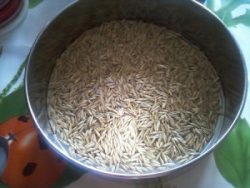 Вкусные и полезные рецепты овеса в термосе 02 Вкусные и полезные рецепты овеса в термосе 02