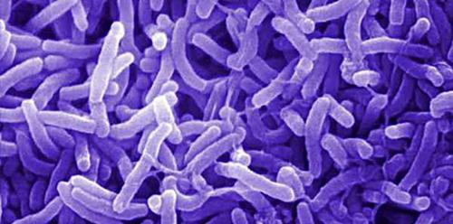 Почему бездрожжевой хлеб на закваске вкуснее и полезнее. Какая польза бездрожжевого хлеба 01 Почему бездрожжевой хлеб на закваске вкуснее и полезнее. Какая польза бездрожжевого хлеба 01