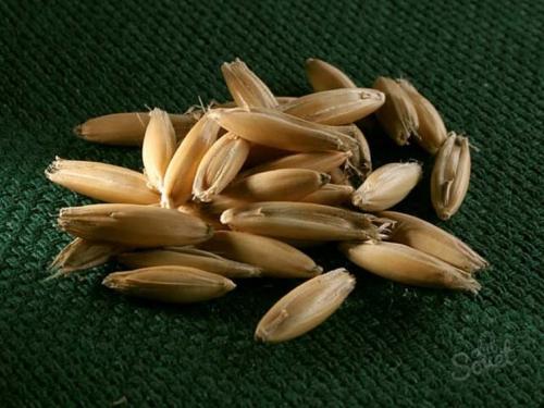 Овес для печени: как заваривать для здоровья 02 Овес для печени: как заваривать для здоровья 02