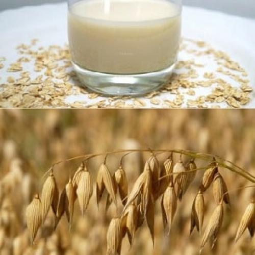 Как правильно варить овсяные зерна для отвара. Пропорции и рецепты