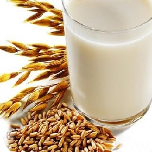 Как правильно варить овсяные зерна для отвара. Пропорции и рецепты