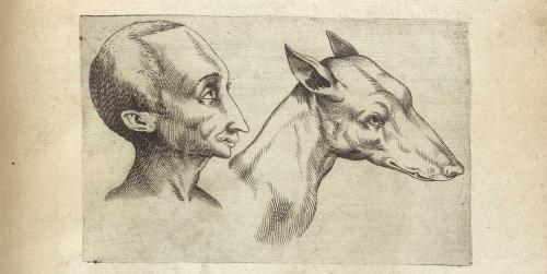 Как анализировать человека по внешности. Как зародилась и развивалась физиогномика