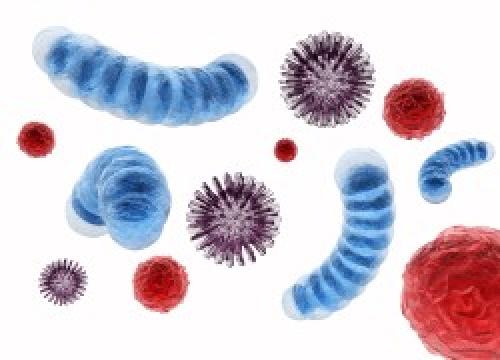 Каковы полезные свойства отвара из овса. Чем он полезен – 5 фактов