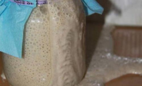 Натуральная закваска для хлеба. Закваска для хлеба – 10 рецептов в домашних условиях