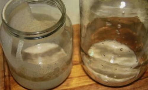 Натуральная закваска для хлеба. Закваска для хлеба – 10 рецептов в домашних условиях