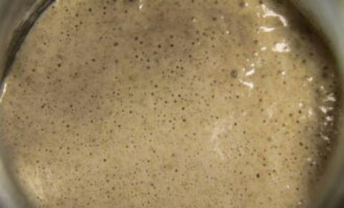 Натуральная закваска для хлеба. Закваска для хлеба – 10 рецептов в домашних условиях