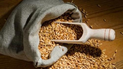 Есть ли противопоказания для лечения печени овсом. Химический состав и полезные свойства овса для организма