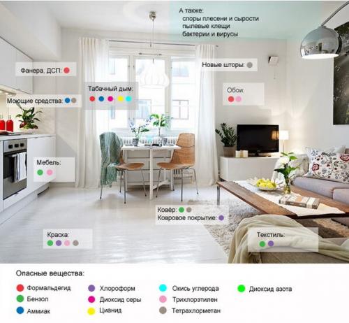 Какие растения лучше всего подходят для очистки воздуха в помещении. С чем могут справиться растения?