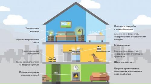 Какие растения лучше всего подходят для очистки воздуха в помещении. С чем могут справиться растения?