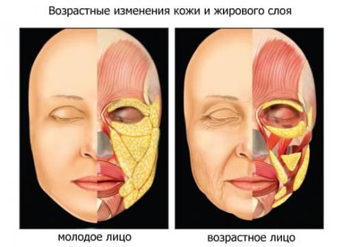 Как подтянуть овал лица. Безоперационные методы подтяжки лица 02 Как подтянуть овал лица. Безоперационные методы подтяжки лица 02