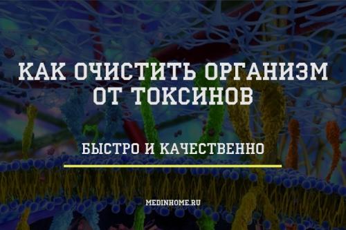 Какие методы наиболее эффективны для быстрой очистки организма. Как быстро и качественно очистить организм от шлаков и токсинов?