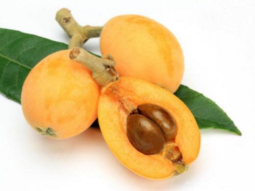 Модельформ 30+ – выгодное предложение для вашего комфорта 01 Модельформ 30+ – выгодное предложение для вашего комфорта 01