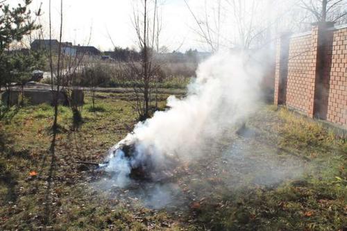 Что такое возвратные заморозки и как они влияют на абрикосы Что такое возвратные заморозки и как они влияют на абрикосы
