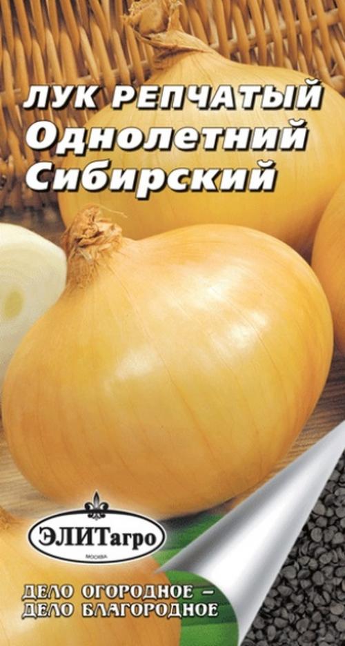 Какие характеристики имеет лук репчатый сибирский фиолетовый Какие характеристики имеет лук репчатый сибирский фиолетовый